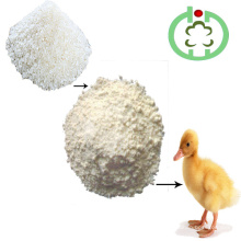 Protein Powder Rice Protein Meal Animal Feed